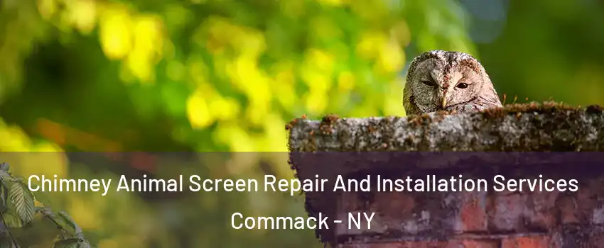  Chimney Animal Screen Repair And Installation Services Commack - NY