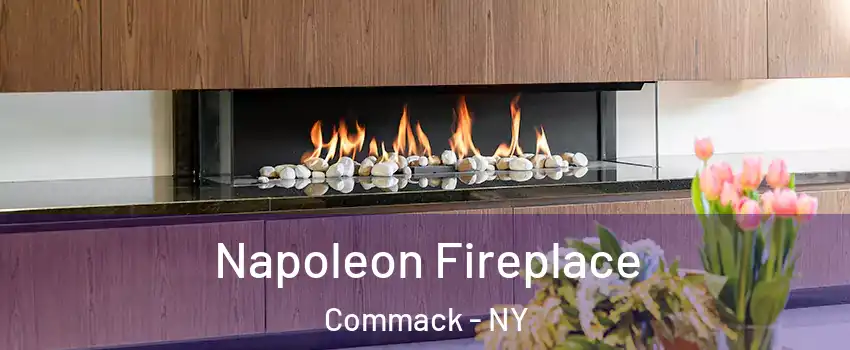  Napoleon Fireplace Commack - NY
